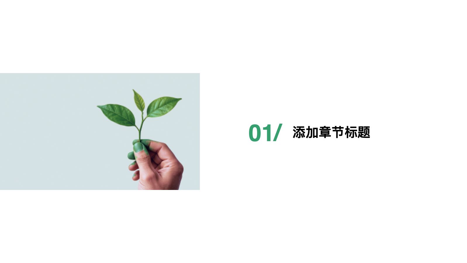 Verde y simple para crear un futuro verde PPT模板预览 3